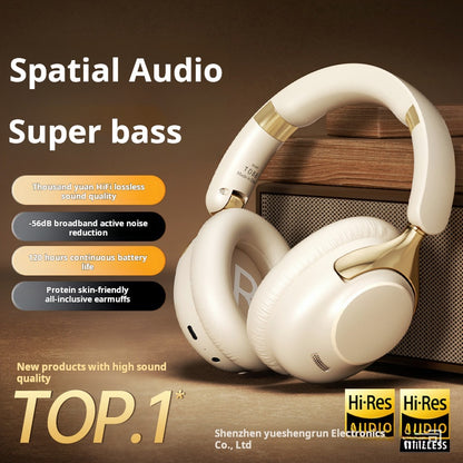 Pro-X1 ANC Headphones  50H Playtime, Deep Bass with Foldable Design